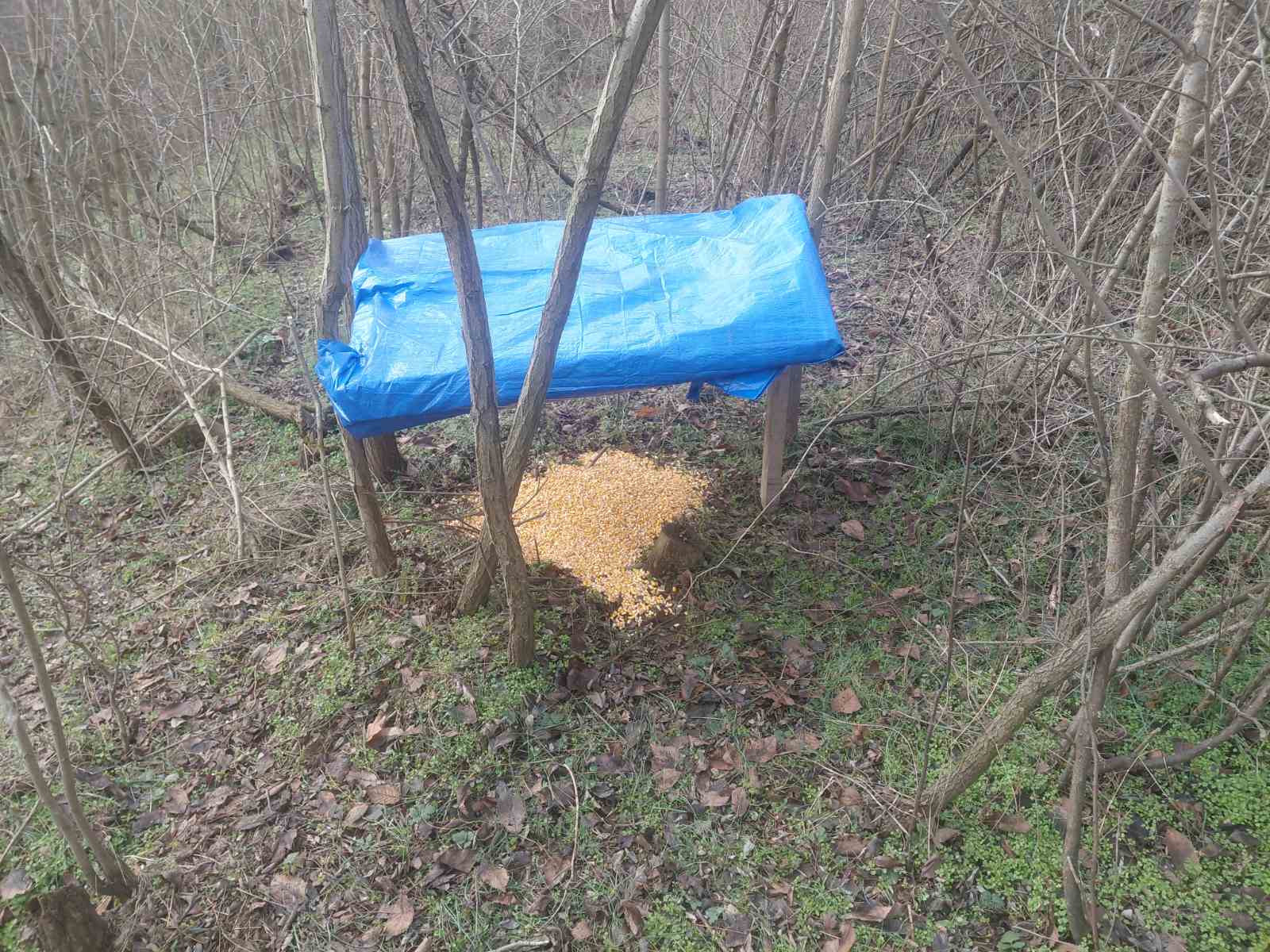 Zaštita prirode i lov